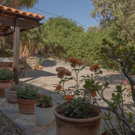 Private Pet Friendly Villa Άγιος Νικόλαος Εξωτερικό φωτογραφία