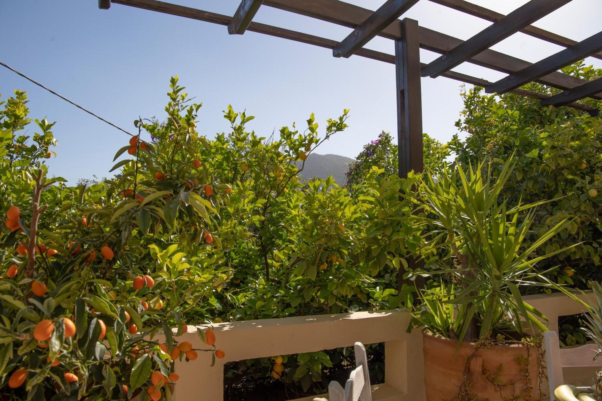 Private Pet Friendly Villa Άγιος Νικόλαος Εξωτερικό φωτογραφία